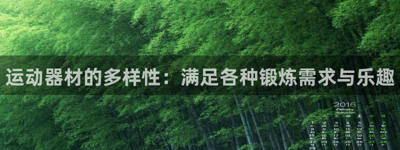 风速体育官方正版app娱乐网站:运动器材的多样性:满足各种锻